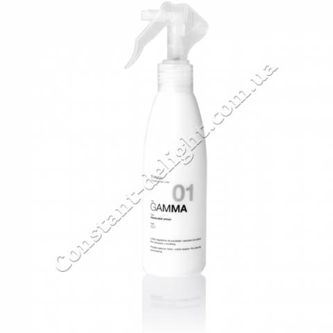 Спрей для вирівнювання структури волосся Erayba Gamma Equallzer Spray G01, 200 ml