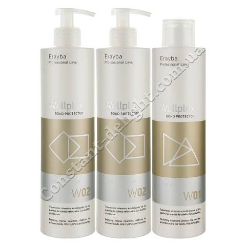Набор для защиты и восстановления волос как во время так и после окрашивания Erayba Wellplex Salon Kit 3x500 ml