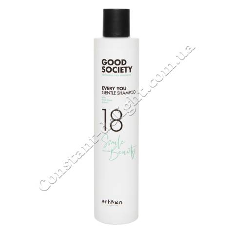 Шампунь для ежедневного использования Artego Good Society 18 Every You Gentle Shampoo 250 ml