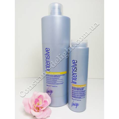Шампунь живильний для сухого волосся Vitality's Intensive Nutriactive Shampoo 250 ml