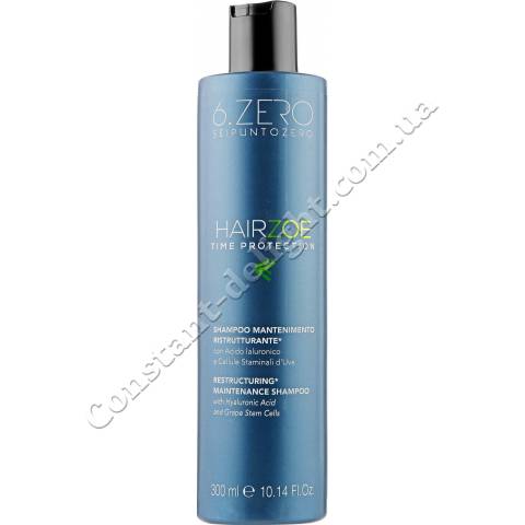 Шампунь відновлюючий для домашнього догляду 6. Zero Seipuntozero Hairzoe Shampoo 300 ml