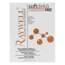 Безаммиачная обесцвечивающая пудра Raywell Soft Deco Ammonia Free 1000 g