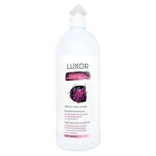 Бивалентный шампунь для жирной кожи головы и сухих кончиков LUXOR Professional Sebum Balance Bivalent Shampoo 1000 ml