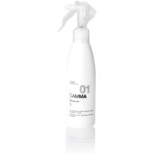 Erayba Gamma Equallzer Spray G01 Спрей для выравнивания структуры волос 200 ml