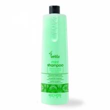 Шампунь Echosline Seliar Mint 1 L