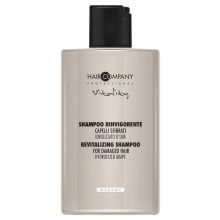 Hair Company Crono Age Vitality Revitalizing Shampoo Шампунь для восстановления волос 300 ml
