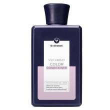 Кондиционер для окрашенных волос HH Simonsen Color Conditioner 250 ml