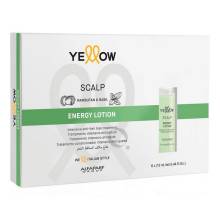 Yellow Scalp Energy Lotion Лосьон против выпадения волос в ампулах 6x13 ml