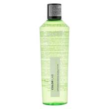 Subtil Laboratoire Ducastel Color Lab Instant Detox Anti-Dandruff Clarifying Shampoo Шампунь против перхоти 300 ml
