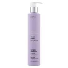 Erayba Always Beautiful Hair Silver No-Yellow Mask Маска для волосся з антижовтим ефектом 250 ml
