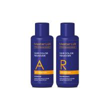 Набор для удаления краски с волос Master LUX Professional Hair Color Remover 2x100 ml (фото 2)