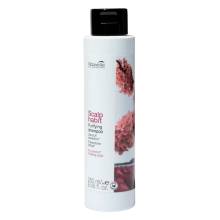 Nouvelle Scalp Habit Purifying Shampoo Шампунь против перхоти 250 ml