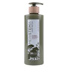 BBcos Meristema Hair Detox Hydra System Shampoo Шампунь увлажняющий на основе стволовых клеток 500 ml