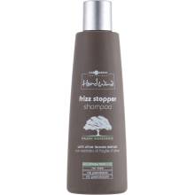 Разглаживающий шампунь для волос Hair Company Professional Head Wind Frizz Stopper Shampoo 250 ml
