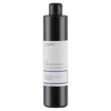Шампунь безсульфатный с антистатическим эффектом Sergilac The Frizz Free Shampoo 500 ml