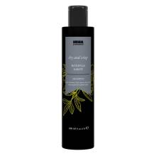 Шампунь для пористых и кучерявых волос с маслом карите Invidia Botoplus Dry and Crisp Shampoo 200 ml