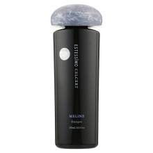 Шампунь для увлажнения волос Lebel Estessimo Celcert Meline Shampoo 250 ml