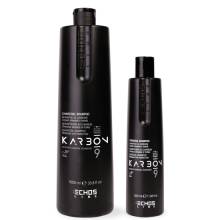 Шампунь для волос с активированным углем Echosline Charcoal 350 ml 
