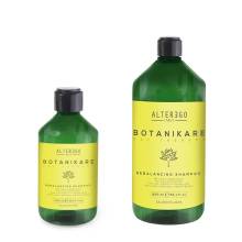Шампунь для восстановления баланса сальных желез Alter Ego 300 ml