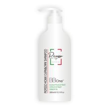 Шампунь для всех типов волос BB One Picasso Home Clean&Care Shampoo 300 ml