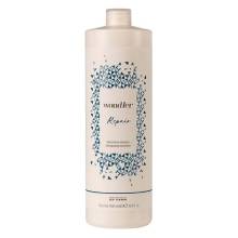 By Fama Professional Wondher Repair Restorative Shampoo Шампунь, що відновлює, для волосся 1000 ml