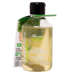 Шампунь для жирной кожи головы и волос Dikson Natura Shampoo Grassi 250 ml