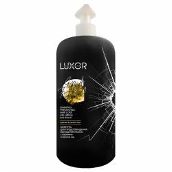 Безсульфатный шампунь для предотвращения выпадения волос с кофеином и маслом Чиа LUXOR Professional Shampoo Preventing Hair Loss with Caffeine and Chia Oil 1000 ml