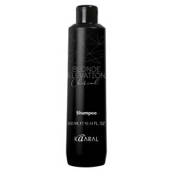 Черный угольный тонирующий шампунь для волос Kaaral Blonde Elevation Charcoal Shampoo 300 ml