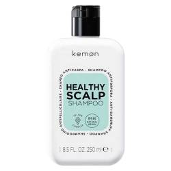 Очищающий шампунь против перхоти Kemon Healthy Scalp Anti-Dandruff Shampoo 250 ml