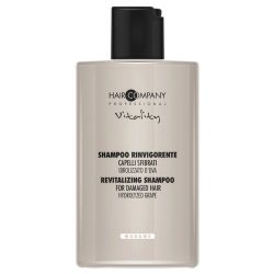 Hair Company Crono Age Vitality Revitalizing Shampoo Шампунь для восстановления волос 300 ml