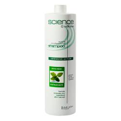 Освежающий шампунь для волос против перхоти со свежей мятой и ментолом Dott. Solari Fresh Mint Shampoo With Menthol 1000 ml