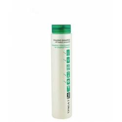 Шампунь для зміцнення волосся ING Professional Treat-ING Vitalizing Shampoo 250 ml
