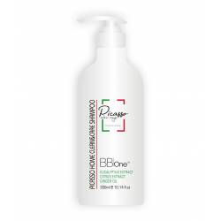 Шампунь для всех типов волос BB One Picasso Home Clean&Care Shampoo 300 ml