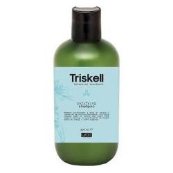 Шампунь против перхоти Тriskell Botanical Treatment Purifyng Shampoo 300 ml