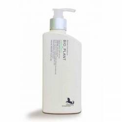Шампунь стимулирующий рост волос Bio Plant Ginger Shampoo 300 ml 