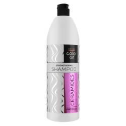 Укрепляющий шампунь для волос с керамидами Prosalon Basic Care Color Art Strengthening Shampoo Ceramides 1000 ml