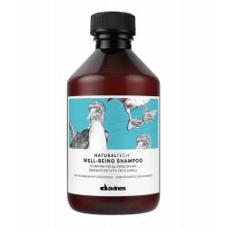 Увлажняющий шампунь для всех типов волос Davines Natural Tech Well Being Shampoo 250 ml